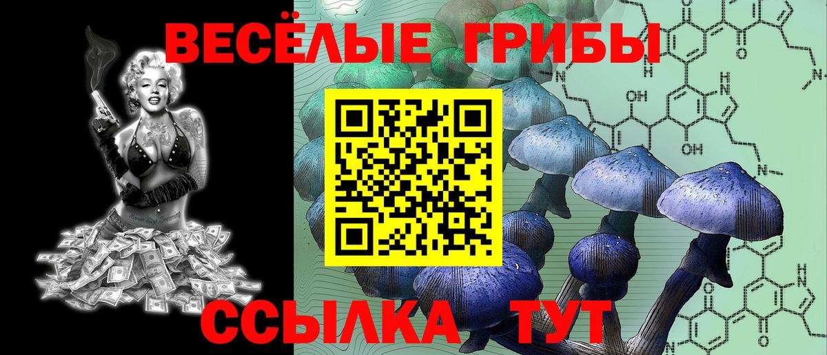 Галлюциногенные грибы прущие грибы Майский